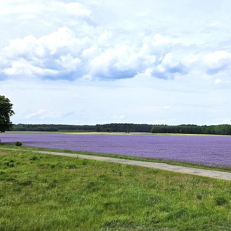 Pod Kamieniem Villa Trzebiel Екстериор снимка